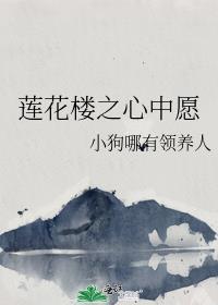 莲花楼之心中愿封面