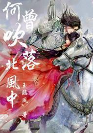 何曾吹落北风中封面