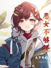 恶女不够坏封面