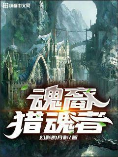 魂裔猎魂者封面