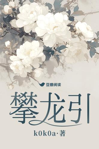 攀龙引封面