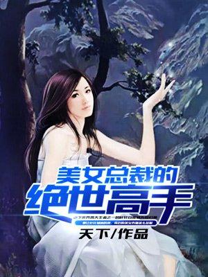 美女总裁的绝世高手封面