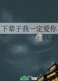 下辈子我一定爱你封面