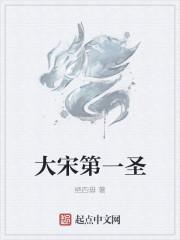 大宋第一任宰相封面