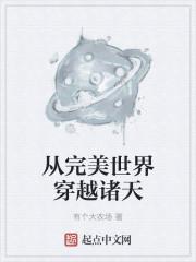 从完美世界穿越诸天封面