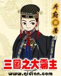 三国之大霸主封面