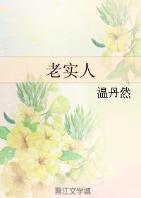 老实人封面