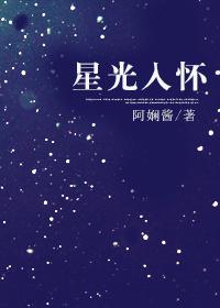 星光入怀封面