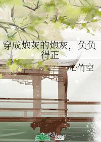 穿成炮灰的炮灰，负负得正封面