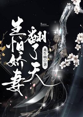 生怕娇妻翻了天封面
