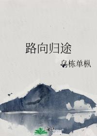 路向归途封面