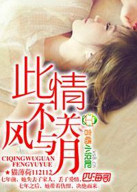 此情不关风与月封面
