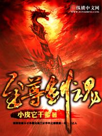 至尊剑魂封面