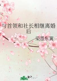 与首领和社长相继离婚后封面
