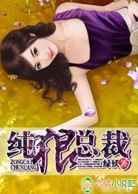 纯狼,总裁!封面