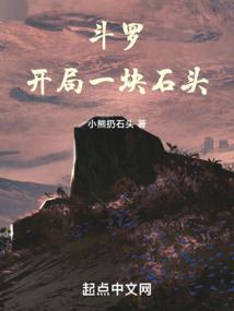 斗罗：开局一块石头封面