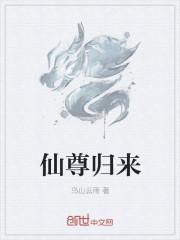 无敌仙尊都市纵横封面