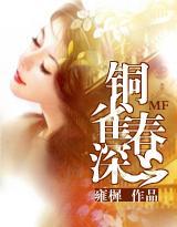 铜雀春深封面