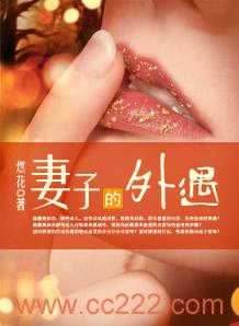 妻子的外遇封面