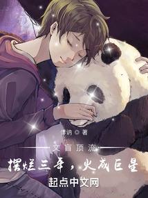 文盲顶流:摆烂三年,火成巨星封面