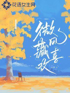 微风藏欢喜封面