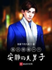 我只想做一个安静的美男子封面