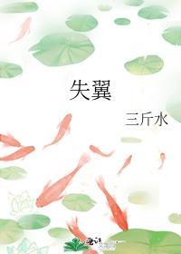 失翼封面