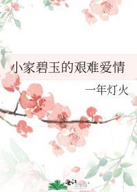小家碧玉的艰难爱情封面
