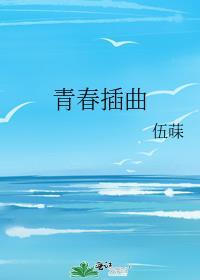 青春插曲封面