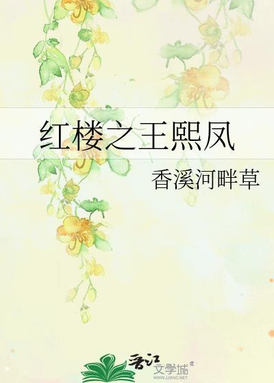 红楼之王熙凤封面
