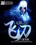 无限之飞刀封面