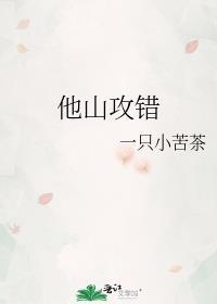 他山攻错封面