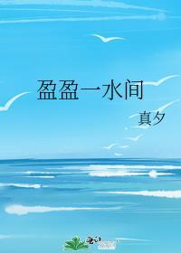 盈盈一水间封面