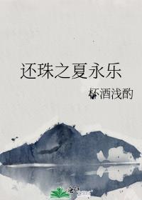 还珠之夏永乐封面
