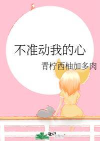 不准动我的心封面