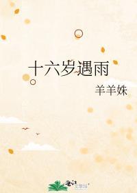 十六岁遇雨封面