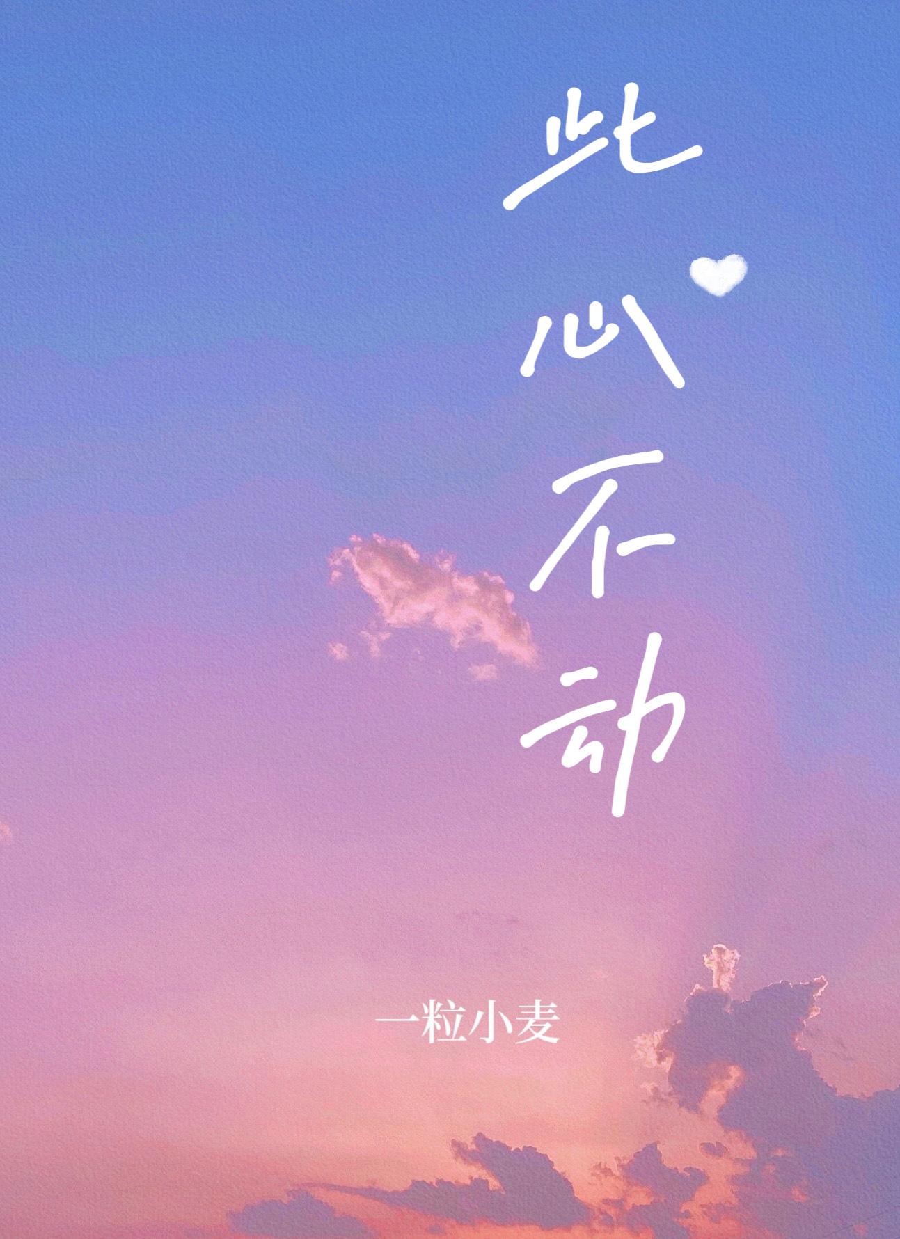此心不动封面