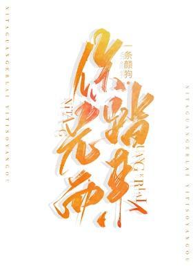 你踏光而来封面