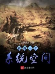我有一个系统空间封面