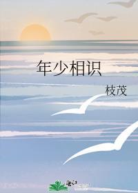 年少相识封面