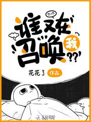 谁又在召唤我封面