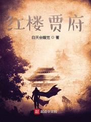 红楼贾府封面