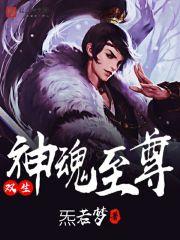 双生神魂至尊封面
