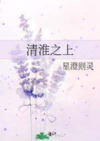 清淮之上封面