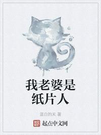 我老婆是纸片人封面