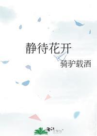 静待花开封面