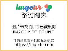 周先生别哭了封面