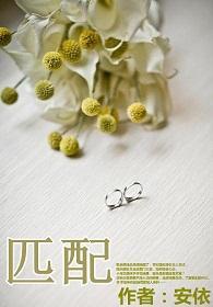 匹配（娱乐圈）封面