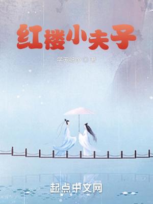 红楼小夫子封面
