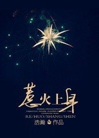 惹火上身封面